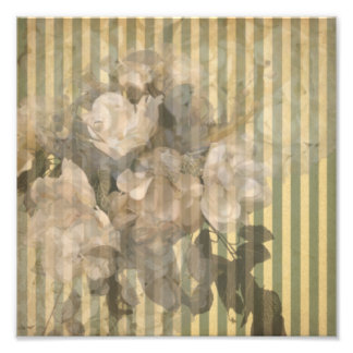 Magnolien auf Streifen Vintag Fotodruck