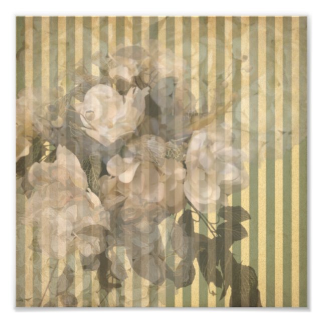 Magnolien auf Streifen Vintag Fotodruck (Vorne)
