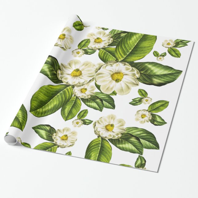 Magnolien-Blumen-botanisches Verpackungs-Papier Geschenkpapier (Ungerollt)