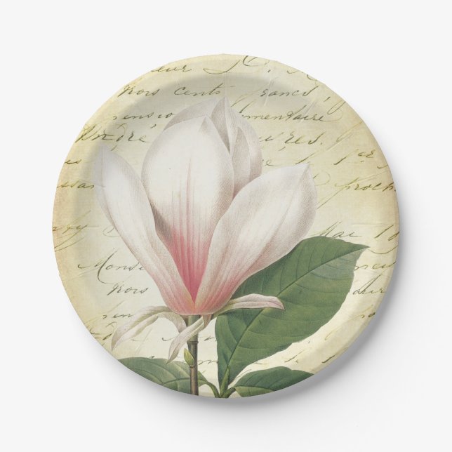 Magnolien-Blumen-Vintages botanisches Pappteller (Vorderseite)