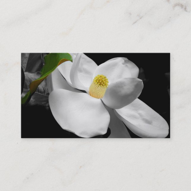 Magnolien-Blüten-Visitenkarte Visitenkarte (Vorderseite)