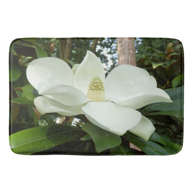 Magnolien-Grandiflorabad-Matte Badematte (Vorderseite)
