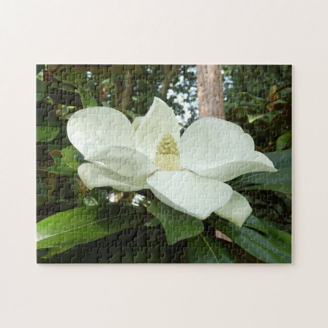 Magnolien-GrandifloraFoto-Puzzlespiel mit (Horizontal)