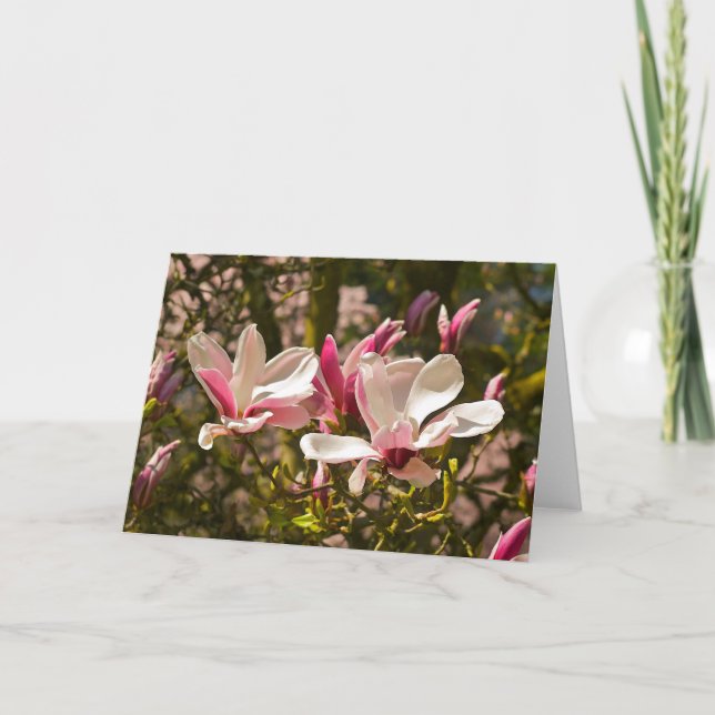 Magnolien-Gruß-Karte Karte (Vorderseite)