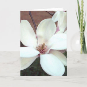 Magnolien-Gruß-Karte Karte
