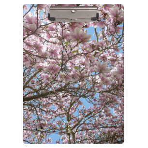 Magnolien im April Klemmbrett