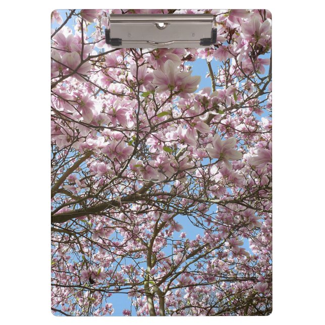 Magnolien im April Klemmbrett (Vorderseite)