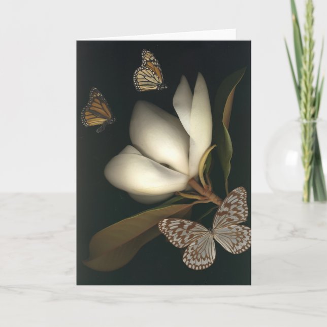 Magnolien- und Anmerkungsbutterflies1 Karte (Vorderseite)