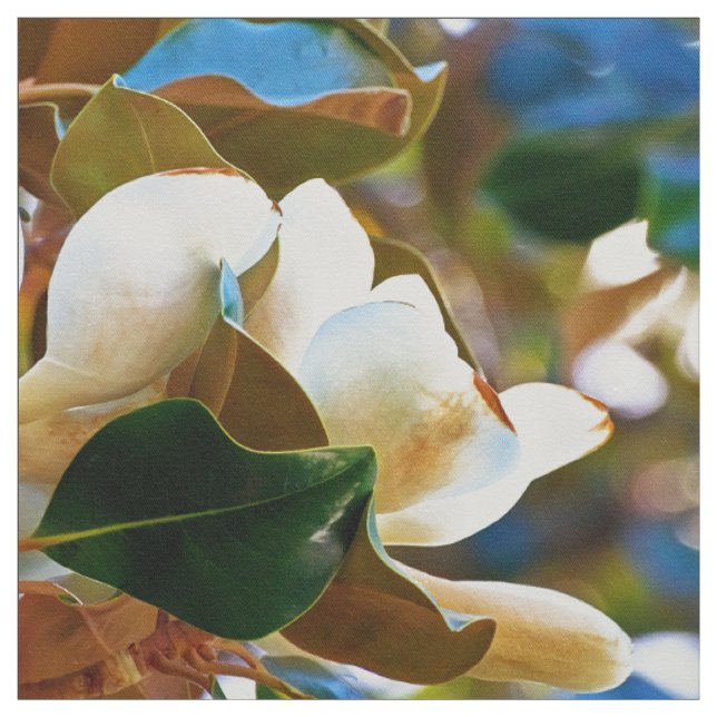 Magnolien-Weiß-Blumen Stoff (Muster)