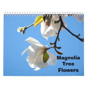 Magnolienbaum-Blüten-Fotografie-Kalender Kalender