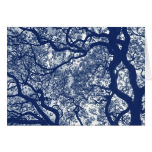 Magnolienbaum - Cyanotypeneffekt