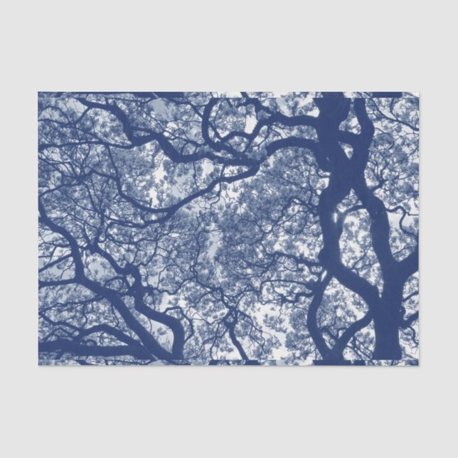 Magnolienbaum - Cyanotypeneffekt Seidenpapier (Vorderseite)