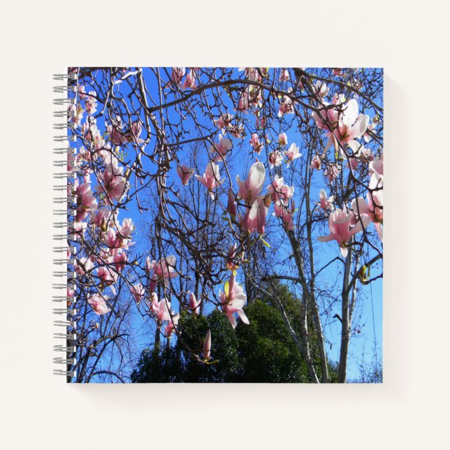 Magnolienbaum.... Notizbuch (Vorderseite)