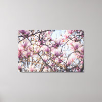 Magnolienblüte