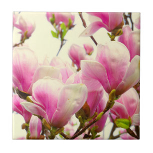 Magnolienblüten Botanische Blütenpracht Fliese