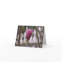 Magnolienkarte