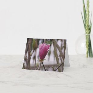 Magnolienkarte Feiertagskarte