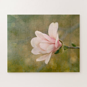 Magnolienkönigin
