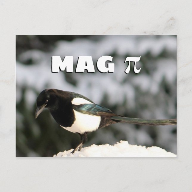 Magpi Postkarte (Vorderseite)