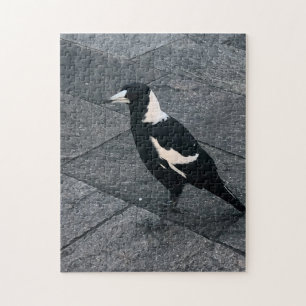 Magpie