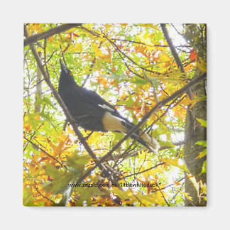 Magpie d'automne - Magnet