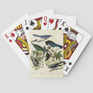 Magpie Jay & Nutcracker Audubon Birds of America Spielkarten