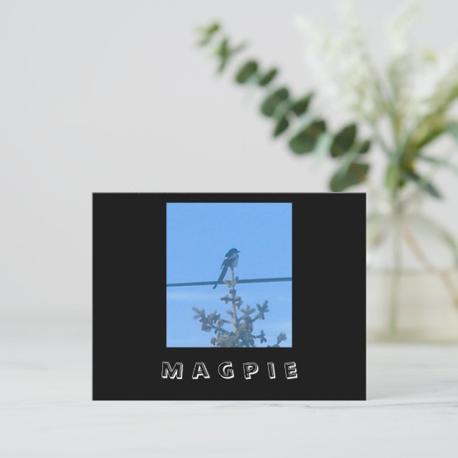 Magpie Nature Postcard Postkarte (Stehend Vorderseite)