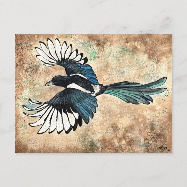 Magpie Watercolor Postkarte (Vorderseite)
