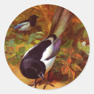 Magpies Runder Aufkleber