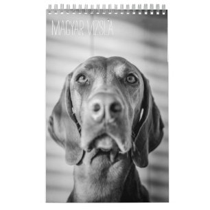 Magyar Vizsla Chiens Calendrier noir et blanc