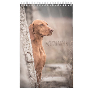 Magyar Vizsla de chiens calendriers