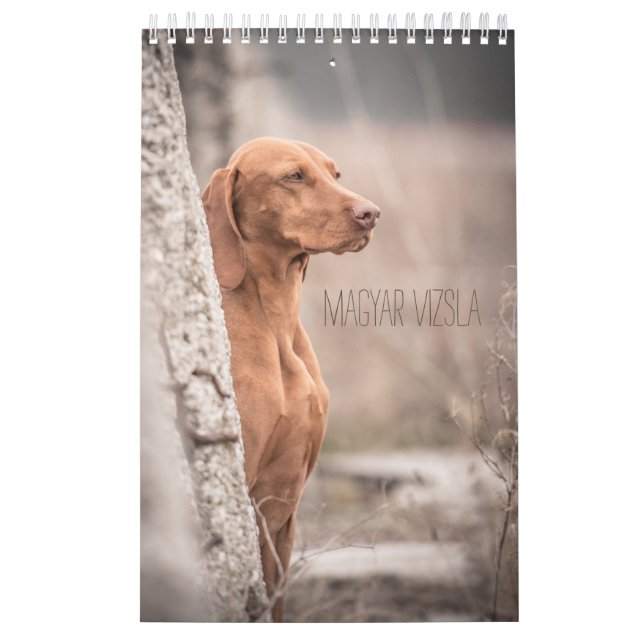 Magyar Vizsla de chiens calendriers (Protection)