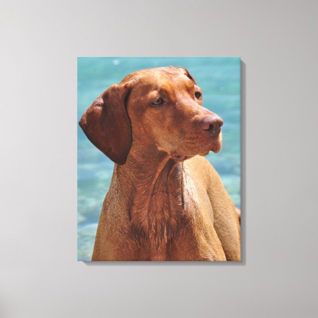 Magyar Vizsla Dog Leinwanddruck (Vorderseite)