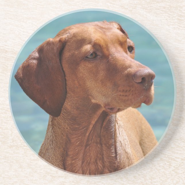 Magyar Vizsla Hund Untersetzer (Vorne)
