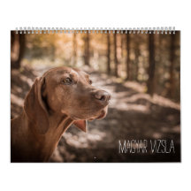 Magyar Vizsla Hunde Kalender