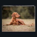 Magyar Vizsla Hunde Kalender<br><div class="desc">Magyar Vizsla Hunde Kalender</div>