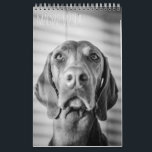 Magyar Vizsla Hunde Kalender black & white<br><div class="desc">Magyar Vizsla Hunde Kalender</div>