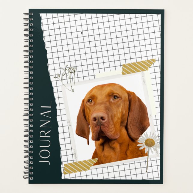 Magyar Vizsla  Planer (Vorderseite)