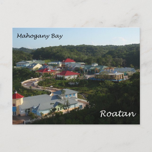 Mahagonibucht, Roatan Postkarte (Vorderseite)
