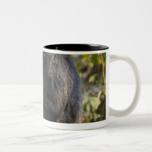 Mahale Berge Nationalpark, Tansania Zweifarbige Tasse
