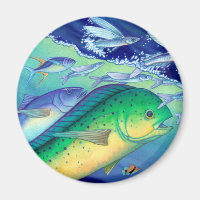 Mahi Mahi (Dolphin Fish) jagt fliegenden Fisch