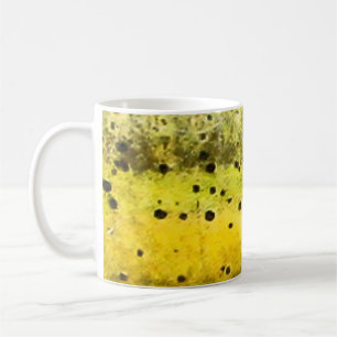 Mahi-Mahi-Fischhaut-Druck Kaffeetasse