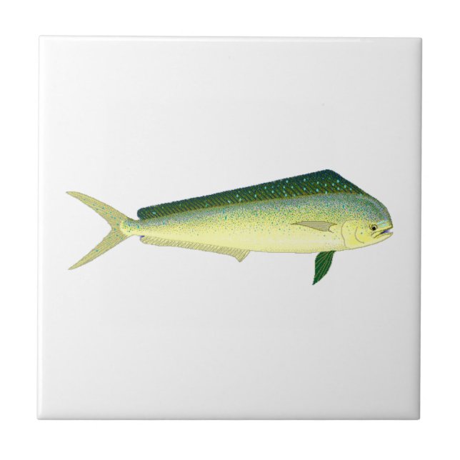Mahi Mahi Fliese (Vorderseite)