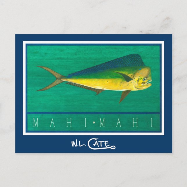 Mahi-Mahi Postcards Postkarte (Vorderseite)
