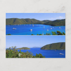 Maho Bay Collage, St. John, U.S.V.I. Carte postale