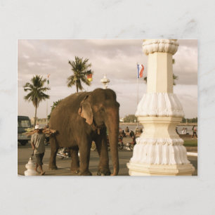 Mahout und Elephant Postkarte
