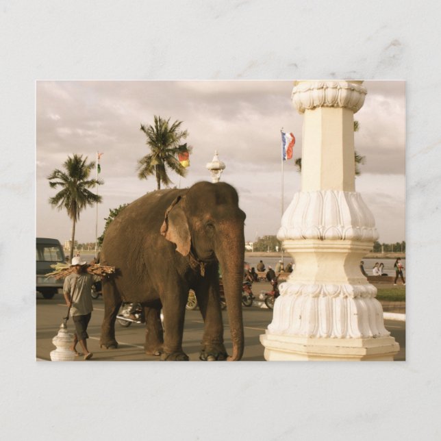 Mahout und Elephant Postkarte (Vorderseite)