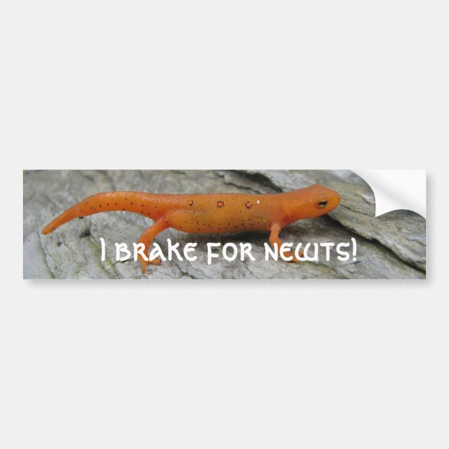 Mai-Fotos 003, bremse ich für Newts! Autoaufkleber (Vorne)