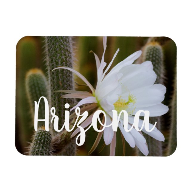 Mai in Arizona Magnet (Horizontal)