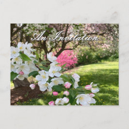 Maiblumen-Rosa-Einladungskarte Postkarte